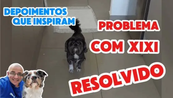 Xixi errado, nunca mais! Aprenda o grande segredo!